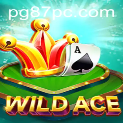 Exploring the Thrills of WildAce: Strategy and Adventure Await